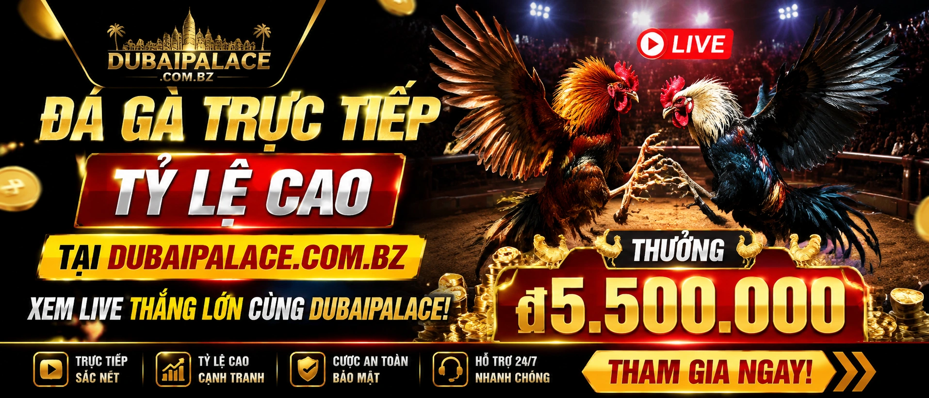 Đá Gà Campuchia trong khu vực nội dung nổi bật